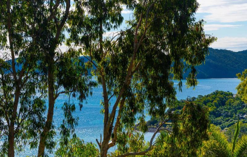 Sunset Waters Apartments Hamilton Island Esterno foto