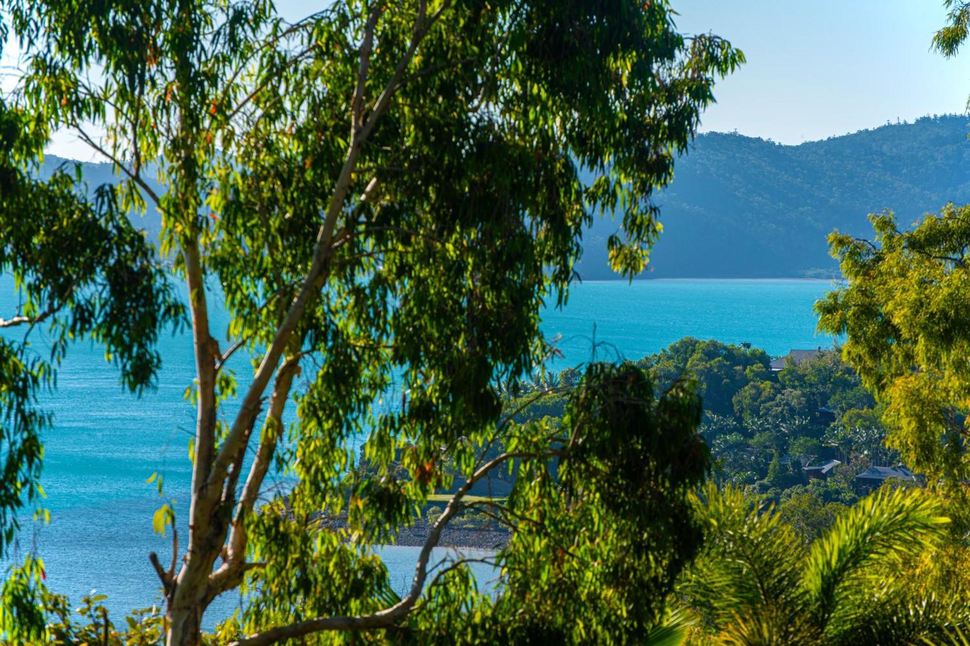 Sunset Waters Apartments Hamilton Island Esterno foto