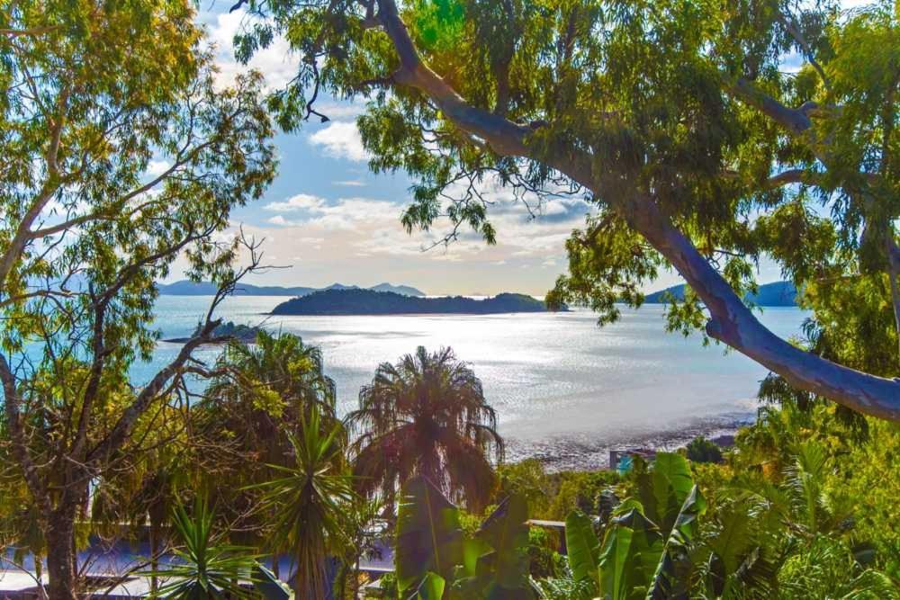 Sunset Waters Apartments Hamilton Island Esterno foto